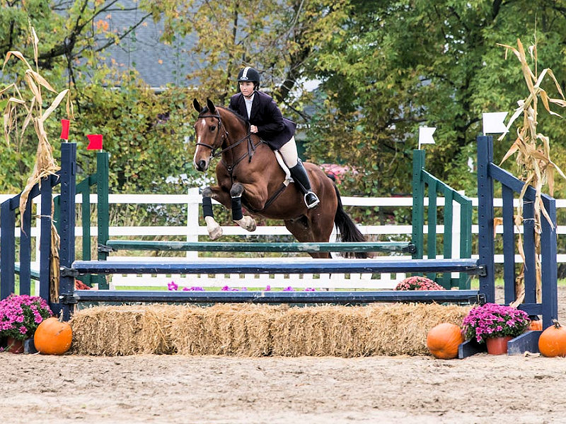 Horse Events and Show